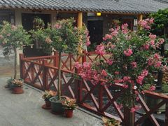 -顺德了能馆(虎门店)