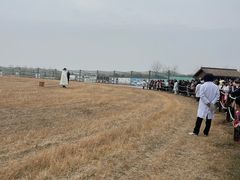 -盐城丹顶鹤湿地生态旅游区