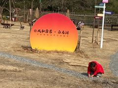 -白马涧龙池景区