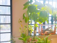 靠窗位-一尺花园(安和花园店)