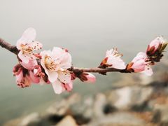 -颐和园