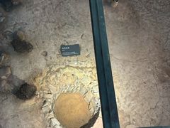-南越王博物院(王宫展区)