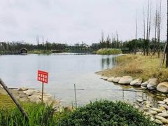 -白鹭湾湿地公园