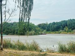 -白鹭湾湿地公园