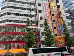 -秋叶原电器街