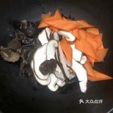 香菇炒腐竹，超下饭呦