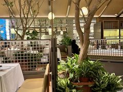 -桂满陇·海市蜃楼·黑金(国金店)