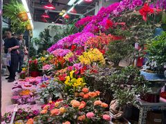 -花鸟鱼虫鲜花绿植市场(玉泉路店)