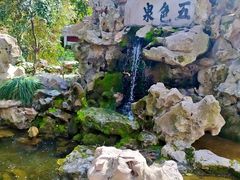 -上海醉白池公园