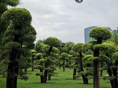 -西海子公园