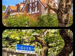 -八大关景区