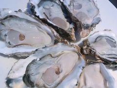 -千岛蚝高压锅生蚝·人参火锅(白云万达店)