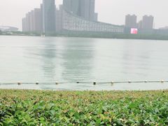-天鹅湖体育公园