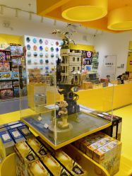 -乐高授权专卖店(朝阳大悦城店)