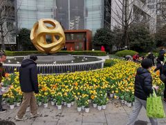 -新湖明珠城