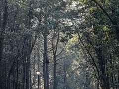 -山湖温泉