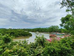 -东寨港红树林旅游区