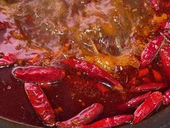 -朱光玉火锅馆(正弘城店)