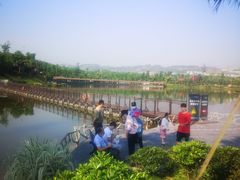 -枫香湖儿童公园