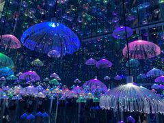 -星空失恋博物馆(北京路旗舰店)