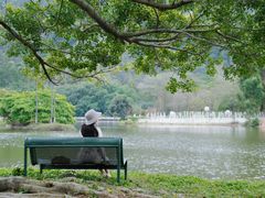 -南沙蒲洲花园