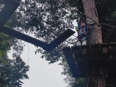 -芦仙山景区-飞越丛林探险乐园