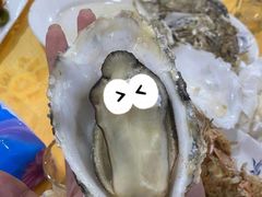 -蚝专家(北滘店)