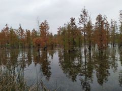 -白鹭湾湿地公园
