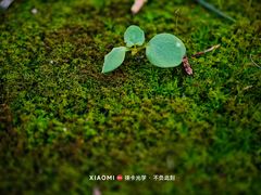 -北海公园-停车场