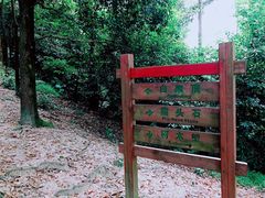 -火炉山森林公园