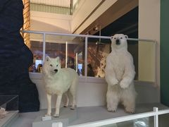 -上海中国航海博物馆