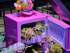 -粉墨特色菜·烧烤音乐酒馆