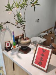 -Your Yoga Pilates·瑜伽普拉提习练室