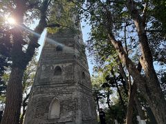 -江心屿景区