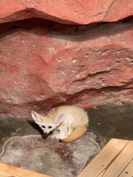 -Zoolung Zoolung动物主题公园(海信广场店)