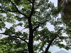-大慈岩风景区