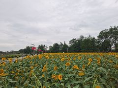 -中国天府农业博览园