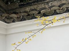 -求雨山文化公园