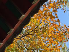 -颐和园