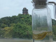-七欣天香辣蟹火锅(南京建宁路大观天地店)