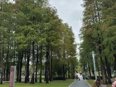 -四海公园(南山区)