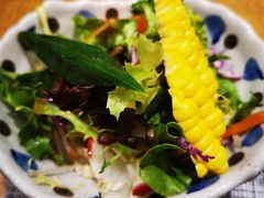蔬菜沙拉-乐亭日本料理(彩虹本店)