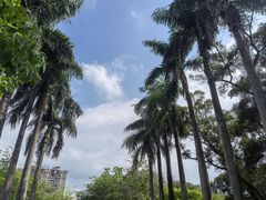 -四海公园(南山区)