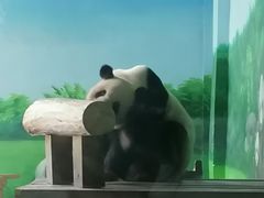 -临沂动植物园