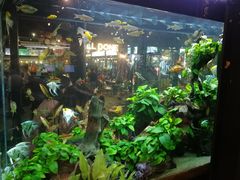 -The Dishes Seafood & Restaurant