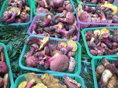 -云海肴·汽锅鸡·云南菜(天山百盛优客店)