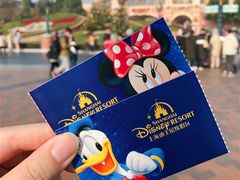 -上海迪士尼度假区