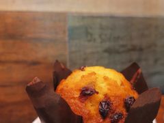 马芬蛋糕-旧雨咖啡·CoffeeFORU(黄村奥体店)