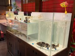 -牛村来人潮汕牛肉火锅(西单店)