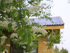 -北京西山国家森林公园